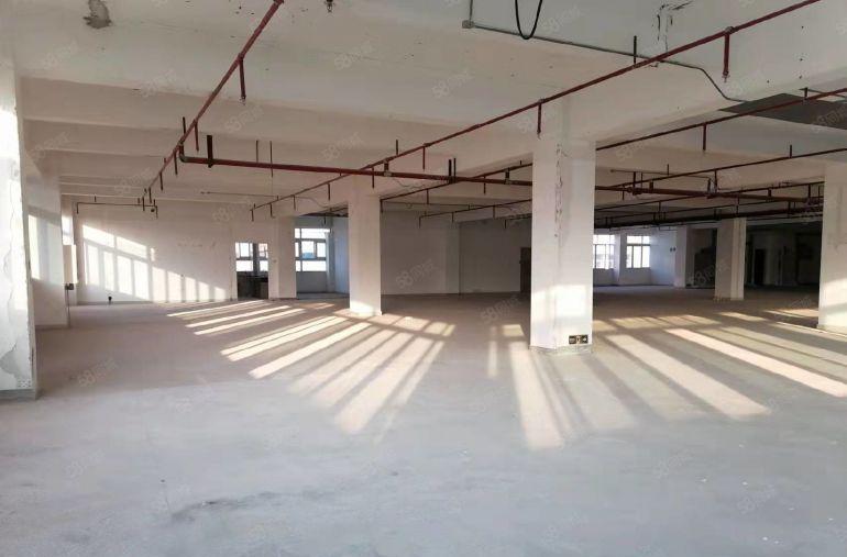 布吉高实用率一手红本主干道厂房仓储出租