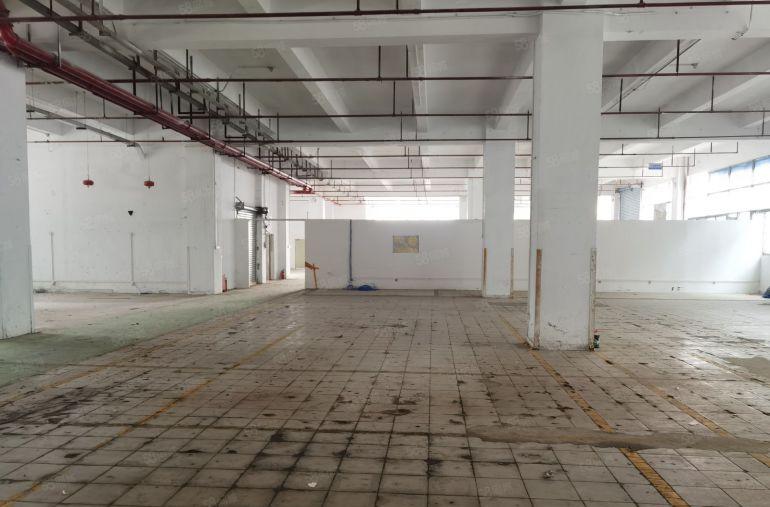 布吉上水径新出单一层1楼5600平带一排卸货平台有港车码出租