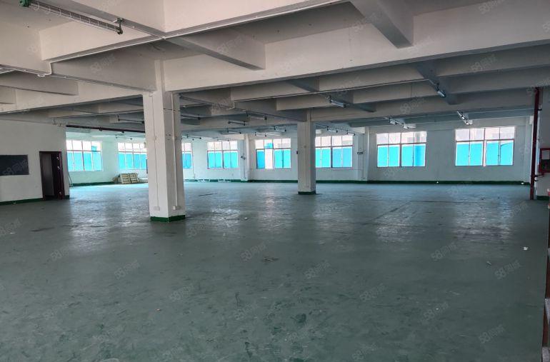 布吉原房东红本地铁口厂房出租大小可分组带精装停车位充足