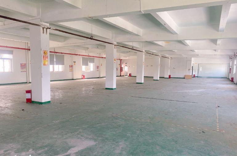 吉华单层厂房超低价310平出租