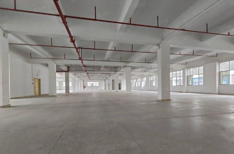 龙岗布吉园区厂房开发商直租 带红本 500平起分 租金含税