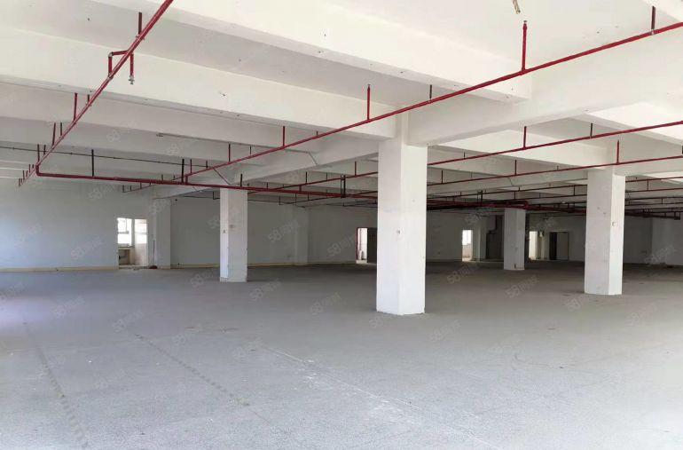 布吉高实用率一手红本主干道厂房仓储出租