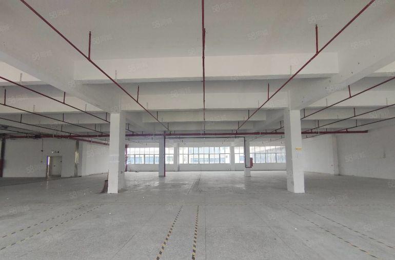 布吉楼上2000平原房东红本厂房招租，自带环评，500起分。