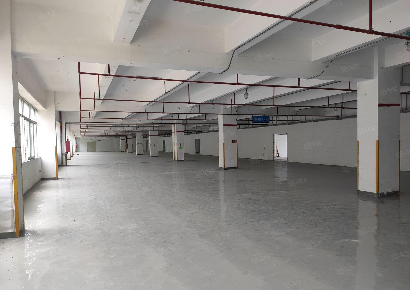 500平起租坂田吉华路花园式厂房8000平标准厂房仓库出租，