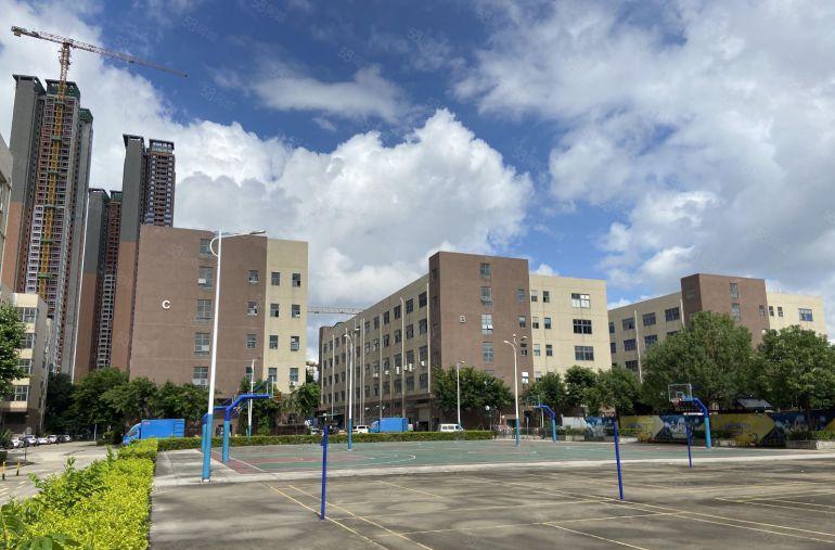 布吉百鸽笼高新产业园精装修楼上500平办公室仓库厂房出租