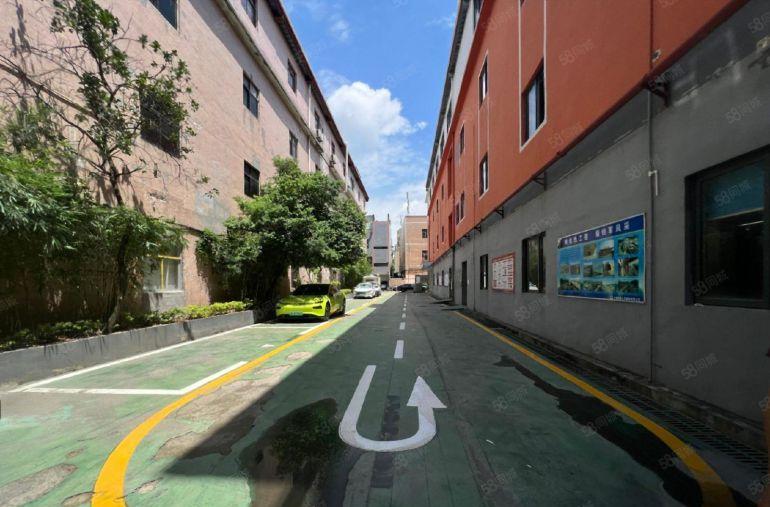 布吉红本独门独院厂房1200平方一楼仓库带豪华装修办公室出租