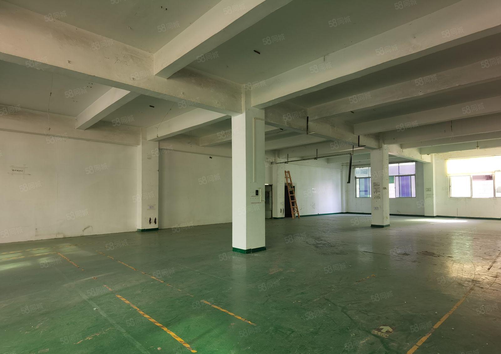 带装修地坪漆！布吉丹竹头工业区新出868平米厂房出租