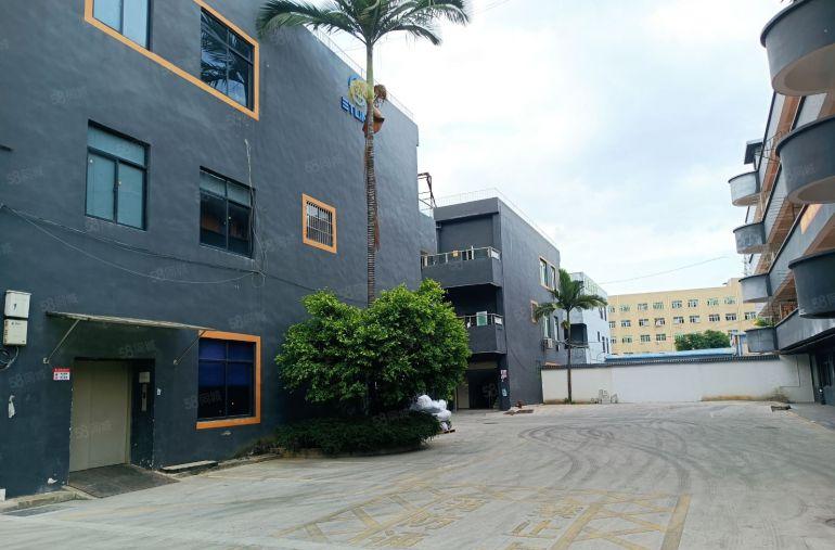 低价布吉百鸽笼二楼厂房1800平方仓库出租带现成办公室好招工