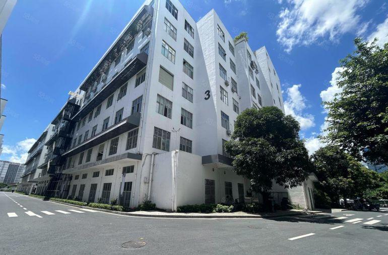 布吉李朗地铁口科技园楼上整层2000平出租可分租100平起