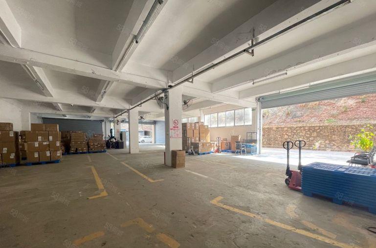 坂田主干道一楼原房东1000平现成办公仓库厂房大空地可进拖头