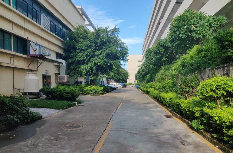 布吉丹竹头地铁口原房东2000平带精装修办公室，形象好空地大