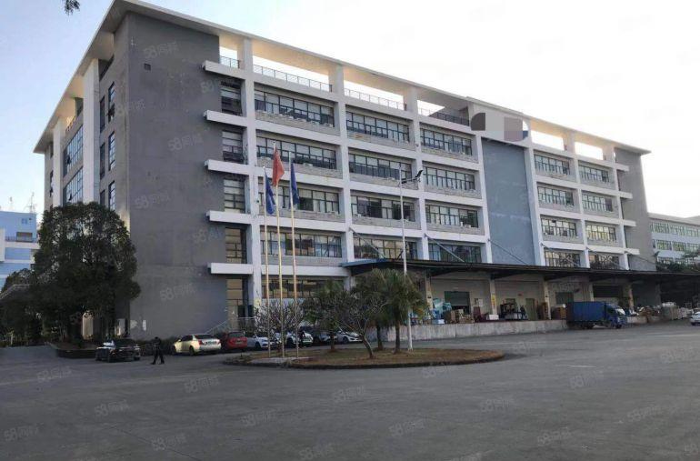 布吉地铁口央企直租 单层3000平方无公摊仓库厂房出租空地大