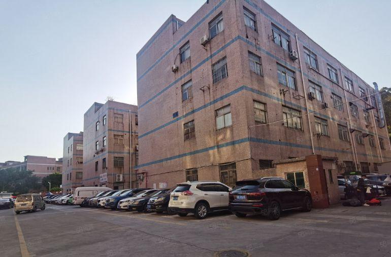 布吉丹竹头地铁口1000平厂房出租1000平起可分租低价