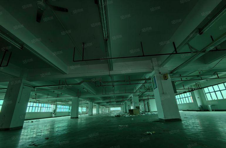 特价19.9布吉甘坑地铁口原房东花园式厂房出租3000平方。