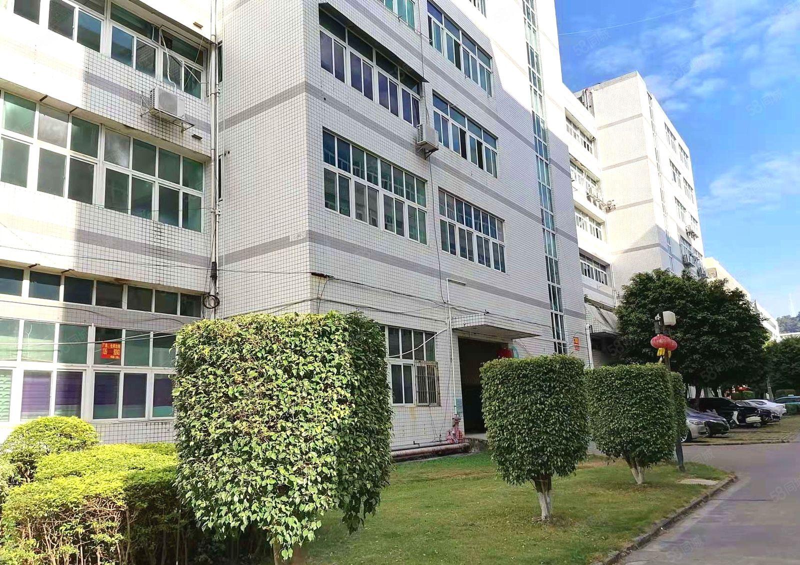 布吉百门前 中交科技城 主干道旁红本厂房仓储 一手物业出租