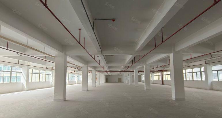 布吉上水经附近300平起厂房出租 园区仓库300平起出租转