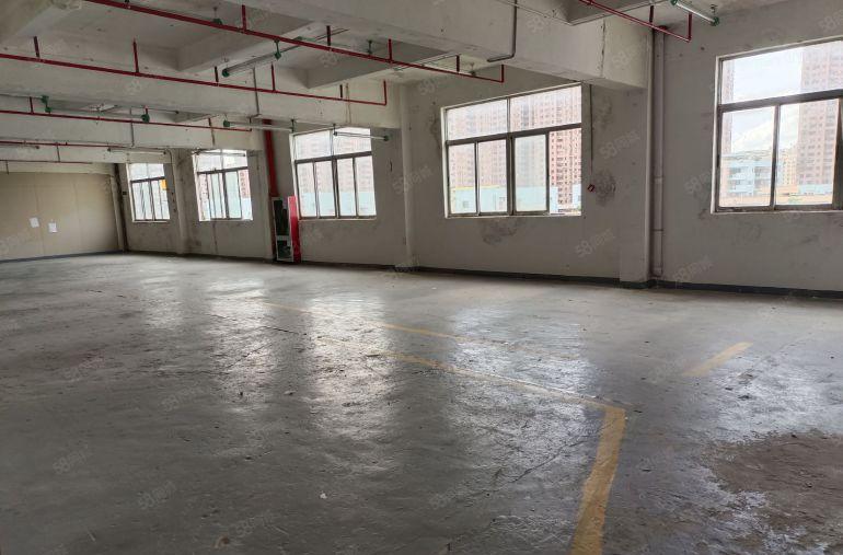 布吉罗岗联创工业区320平厂房