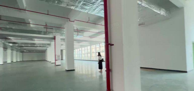 布吉680平方厂房仓库出租带全新地坪漆空地大拖头随进免中