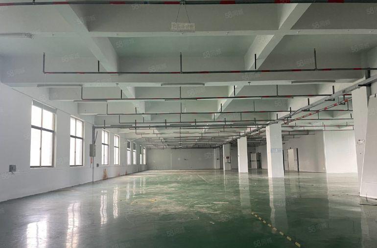 南岭工业区现成装修厂房100平起租 业主已隔好各面积段