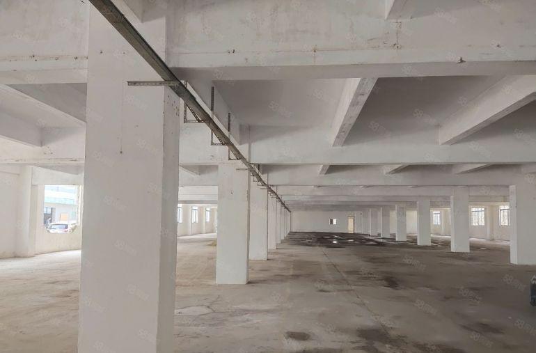 布吉联创工业区独院一楼2千平红本标准仓库厂房出租可分租空地大