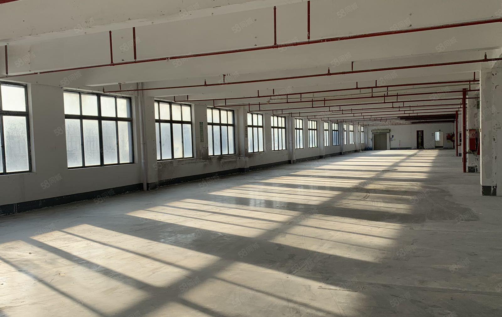 业主直租龙岗布吉独院厂房一楼二楼2000平红本厂房仓库出租