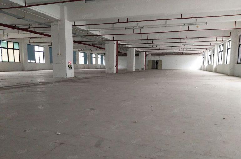 原房东厂房一楼1450平楼上2360平，实用高