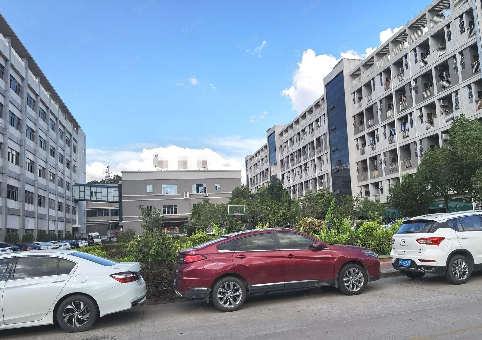 22元起200平租龙华大浪工业园区原房东5000平厂房仓库出