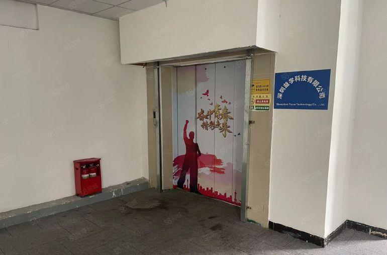 木棉湾工业区带装修厂房200平 400平 600平出租