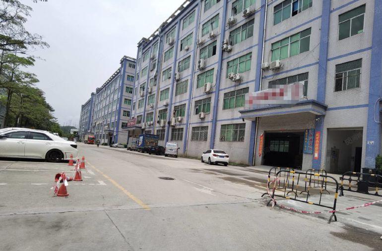 丹竹头工业园厂房1500平带装修出租！办公仓库300平起租