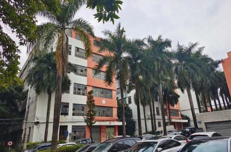 房东直租百鸽笼万象汇附近红本厂房1000平可分租不限行业