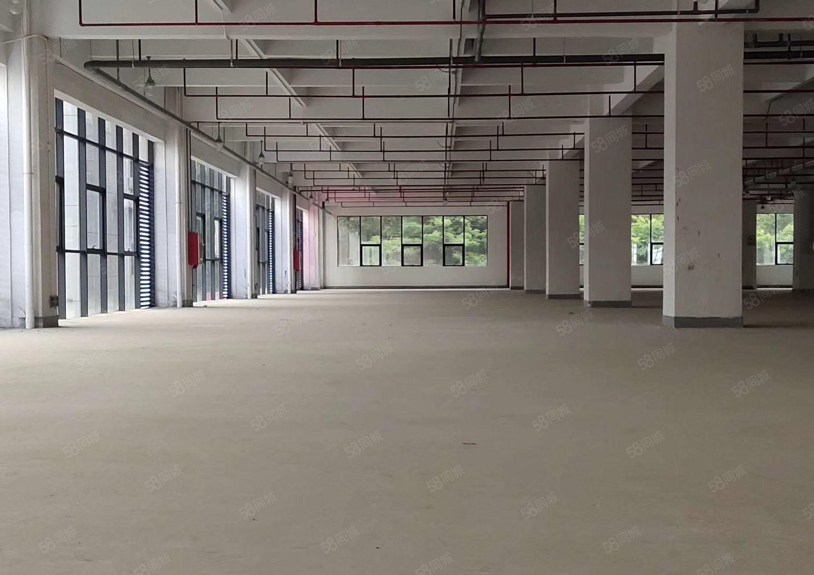 布吉海关附近新出二楼2500平米厂房出租带装修有红本