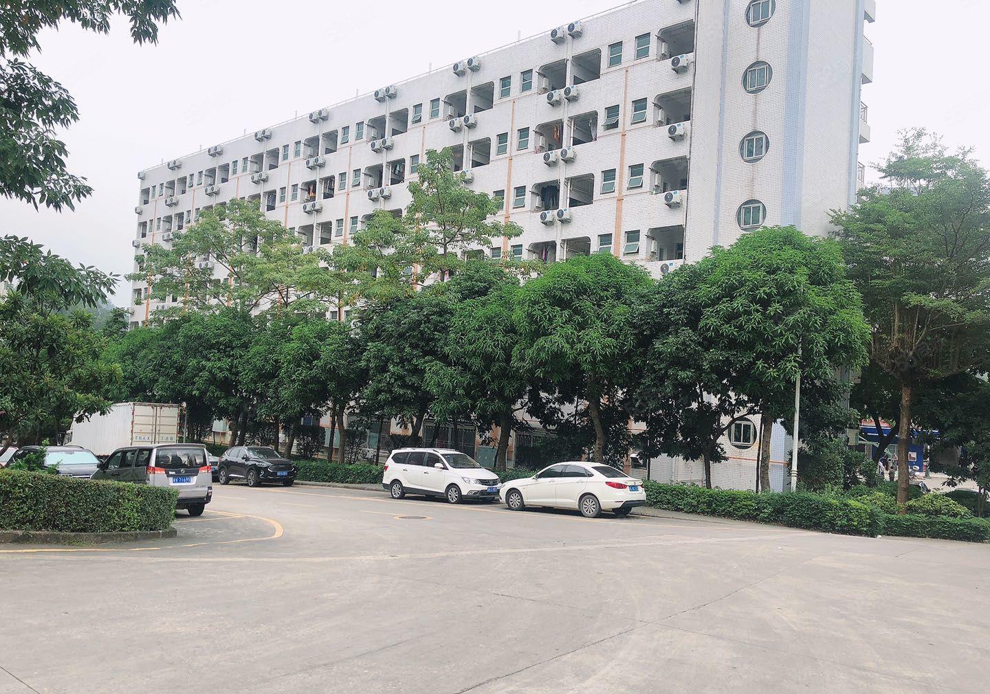 300平起租~吉李朗标准厂房仓库1100平出租部分一楼出租