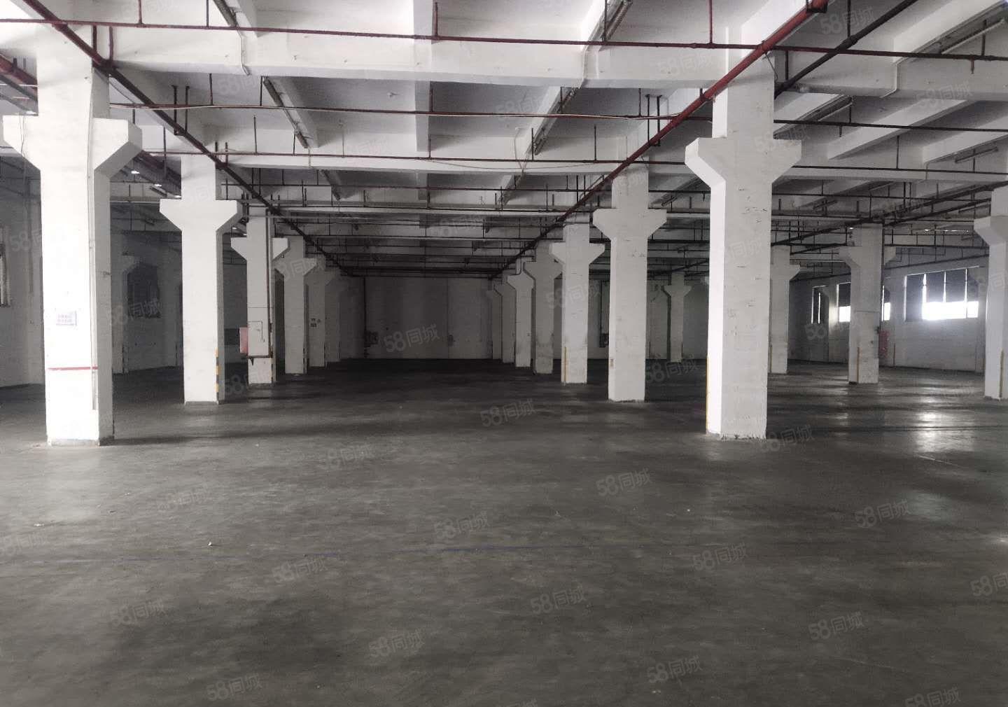 布吉李朗原房东工业园新出一楼二楼1980平厂房出租大小可分租