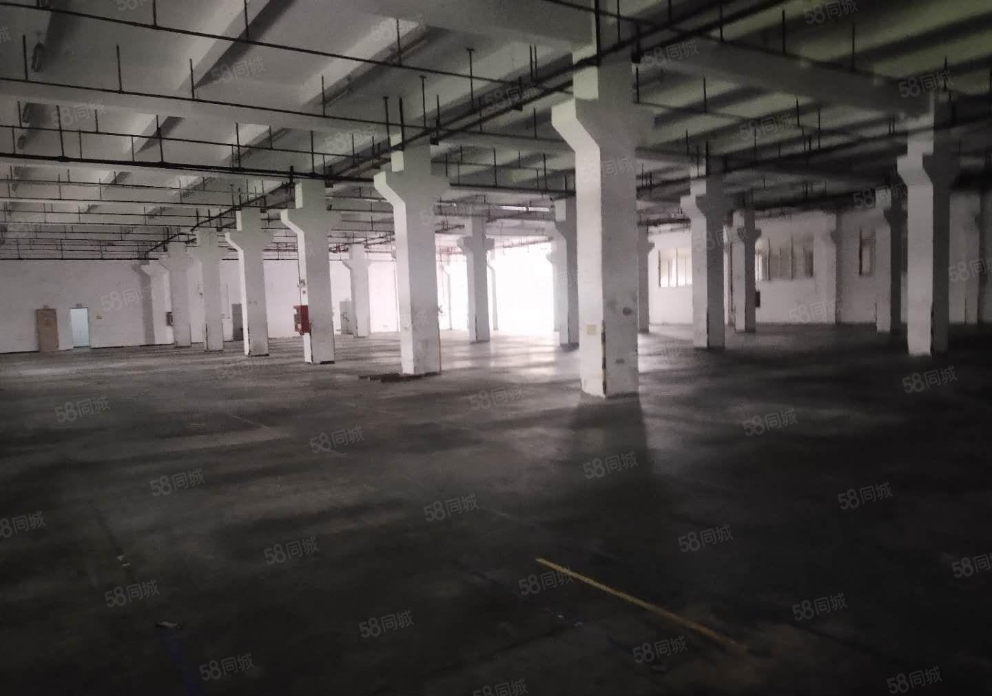 布吉李朗原房东工业园新出一楼二楼1980平厂房出租大小可分租