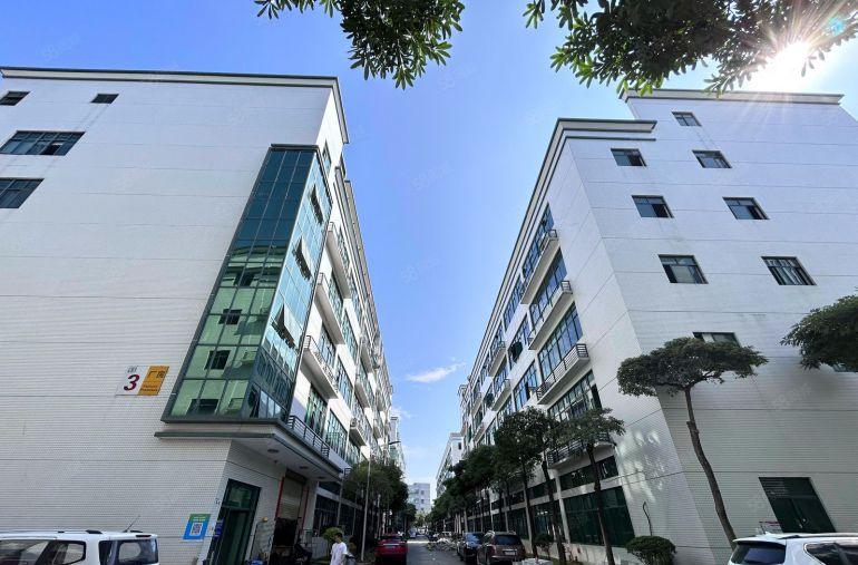 布吉李朗原房东工业区精装修厂房办公出租电商仓库大小面积可分租