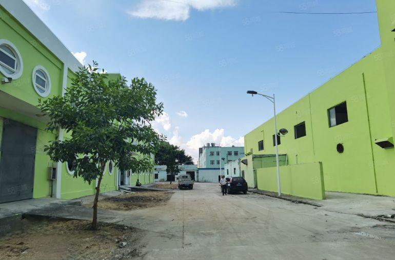 布吉原房东独栋厂房出租1500平方，零公摊可分租一楼层高6米