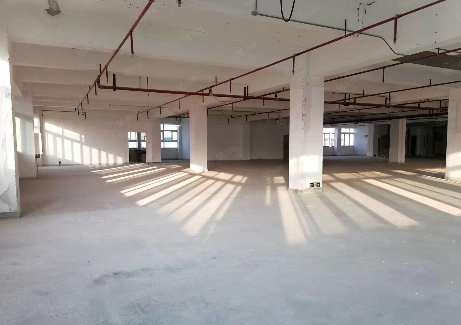 布吉主干道高实用率一手红本厂房仓储100平起租