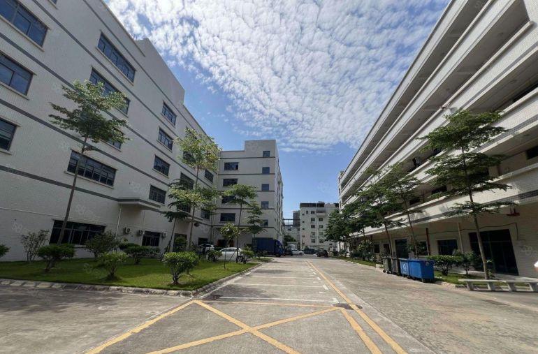 布吉红本独栋 享补贴 高新产业园 企业总部 仓库厂房出租