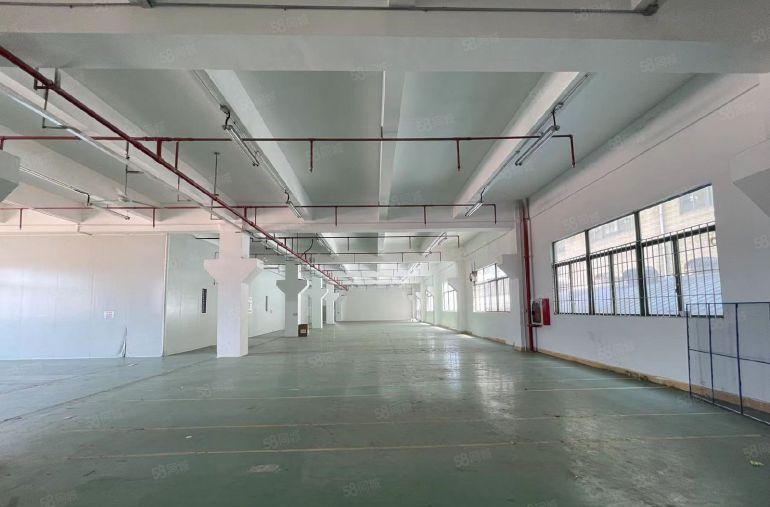 布吉吉华路工业园区高速路口标准厂房1500平带牛角厂房。