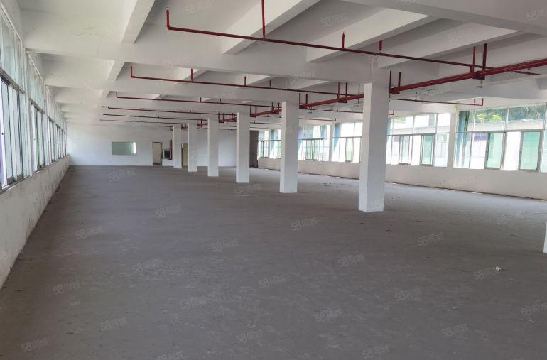 布吉上水径吉华路新出3楼整层1350平有房产证红本可分租出租