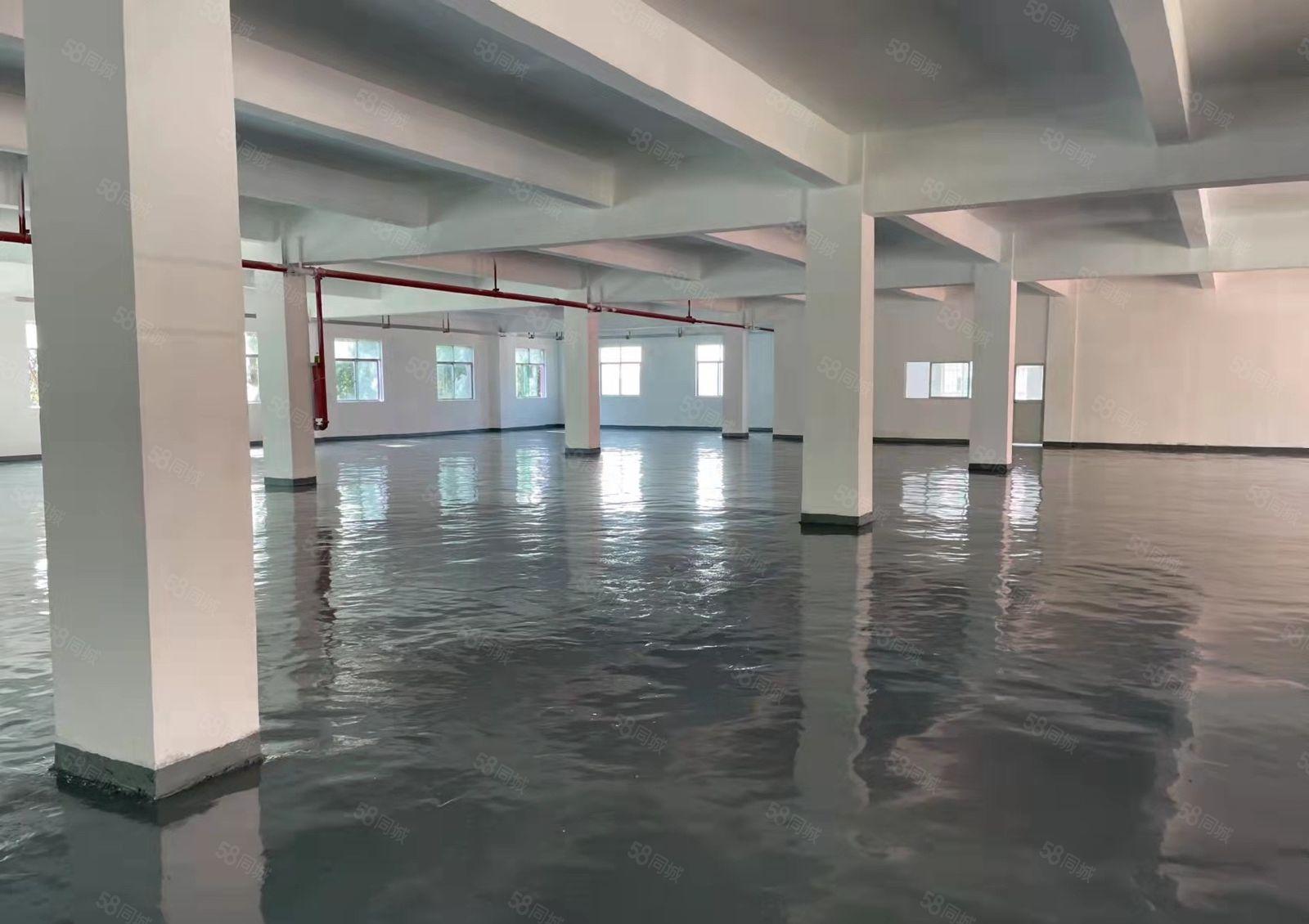 丹竹头1050平米厂房全新地坪漆，带消防喷淋，货梯