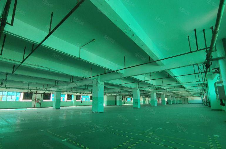 布吉李朗2000平红本厂房出租，原房东带红本可分租300起分