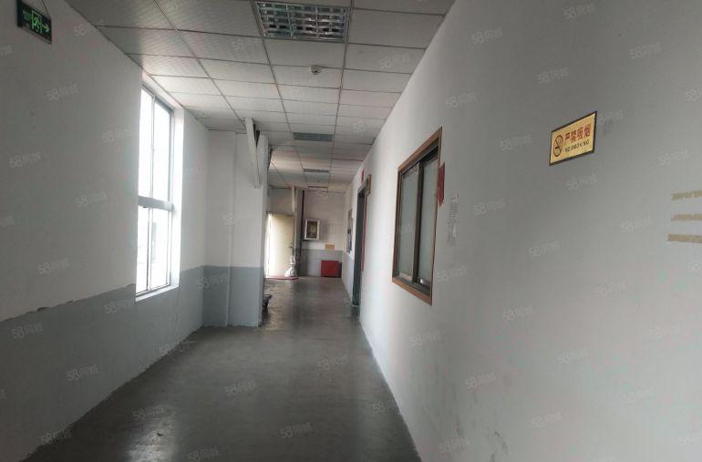 下水径厂房招租，可办公或生产