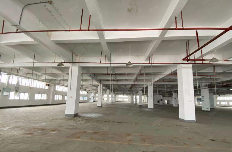 布吉上李朗500平一楼车间加仓库厂房出租200平起分租