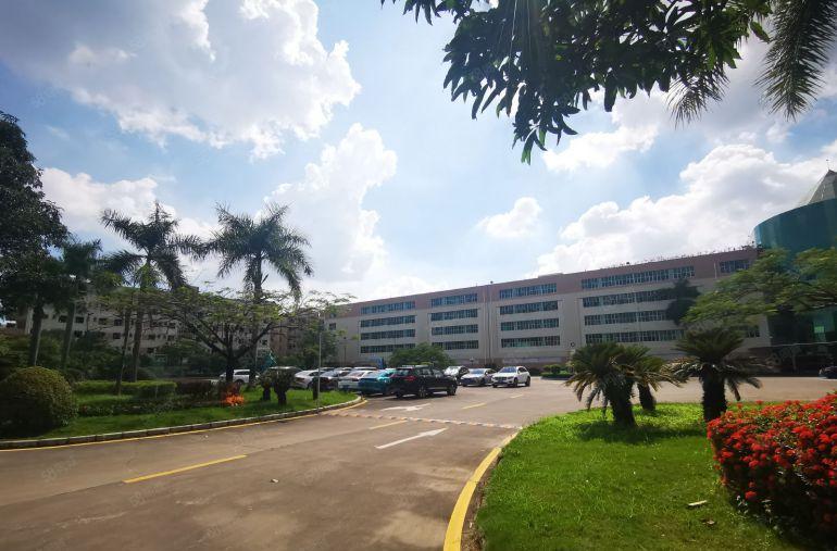 特价23元布吉李朗2000平一楼厂房仓库出租可分租