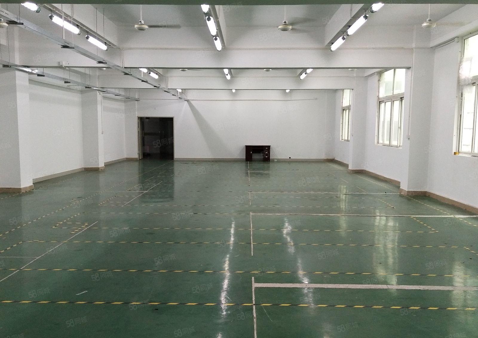 丹竹头地铁站附近新出三楼480平带装修厂房出租