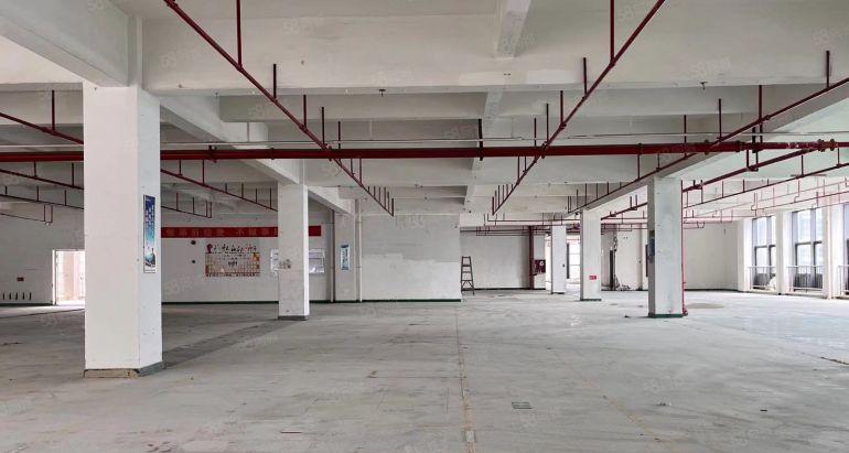 布吉上水径村委红本厂房500平带装修可以分租使用率高