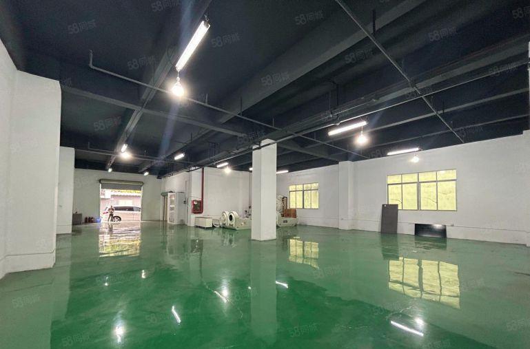 布吉丹竹头地铁站工业园单层1600平红本厂房仓库出租可分租