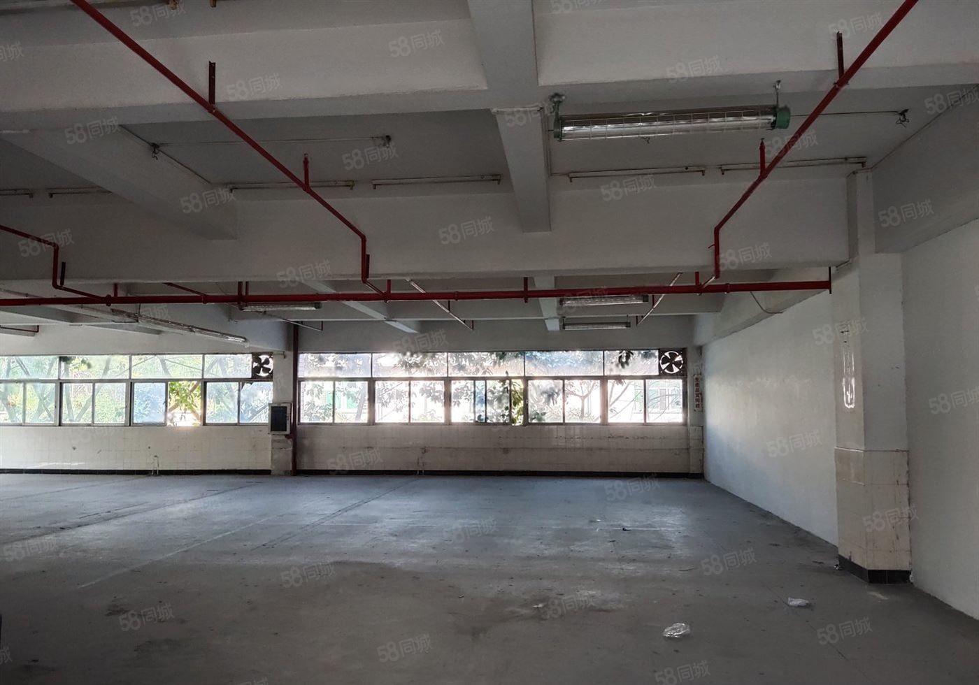 布吉布吉街原房东红本标准厂房1000平出租200平起租带卸货