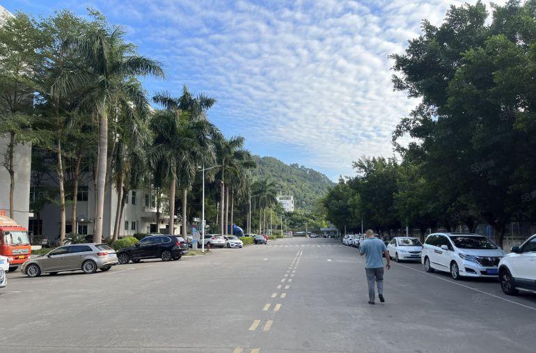 布吉大芬油画村楼上300平至2000平二楼厂房仓库低价出租